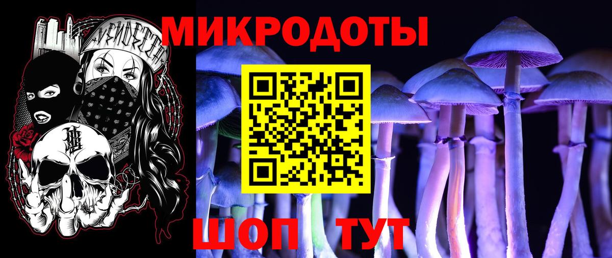 Холмск  Псилоцибиновые грибы Psilocybe  Вход с VPN 